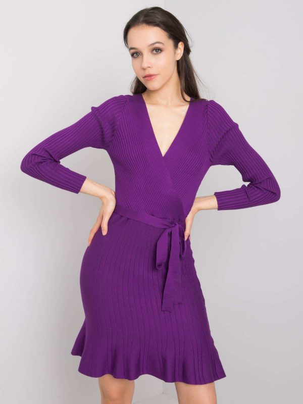 Purple Casual Dress Carmel