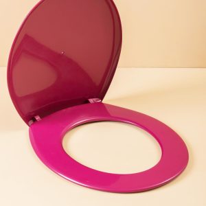 Burgundy toilet seat