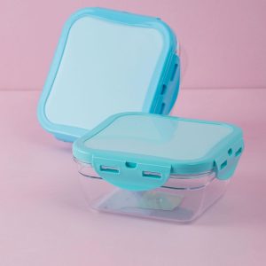 Mint Food Container