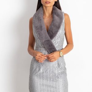 Silver Boost Dress