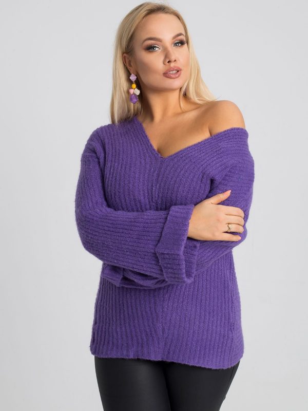 Carla's Purple Plus Size Sweater