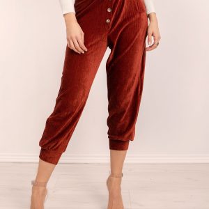 BSL Brown corduroy pants