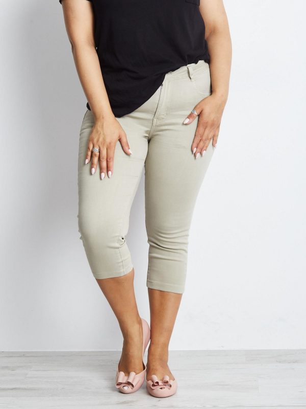 Light gray plus size pants Durance