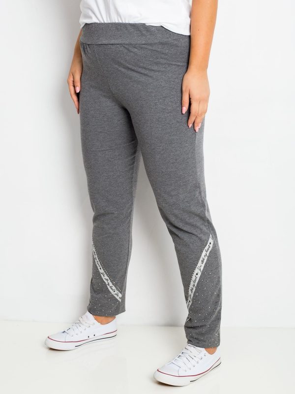 Dark Grey Plus Size Active Pants