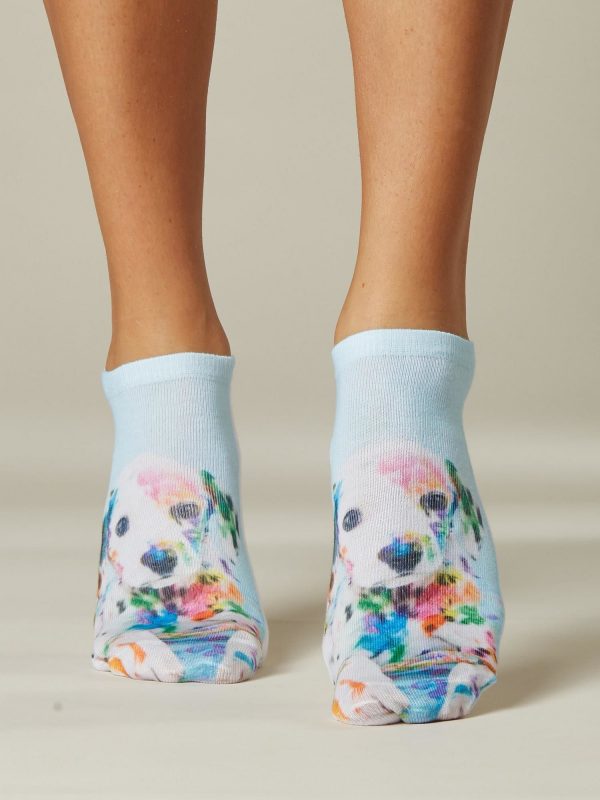 Socks feet with dog