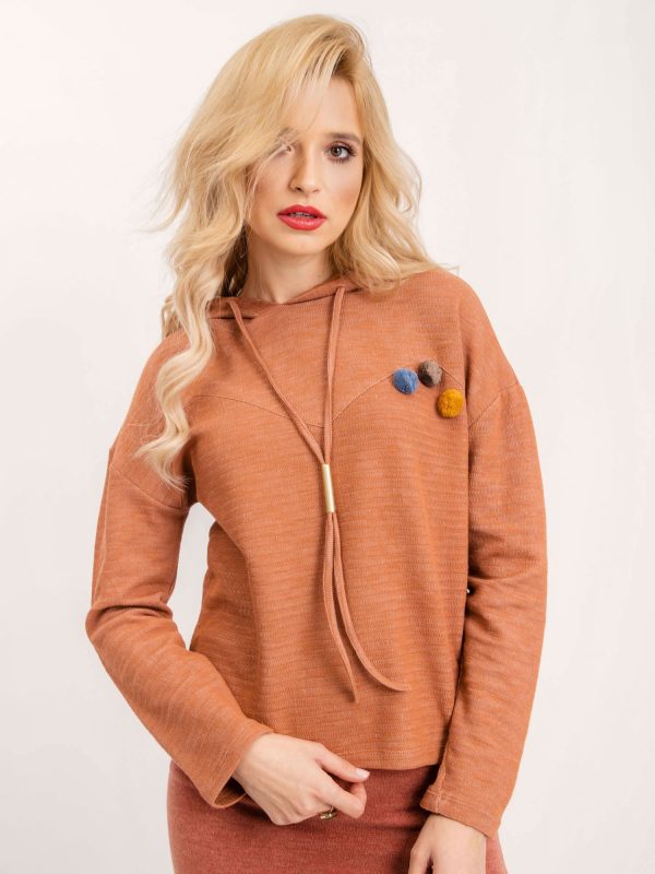 Brown sweatshirt BSL