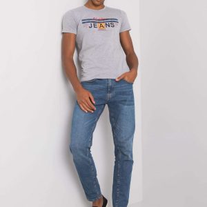 Gray men's t-shirt with round neck Royce