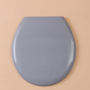 Grey Toilet Seat