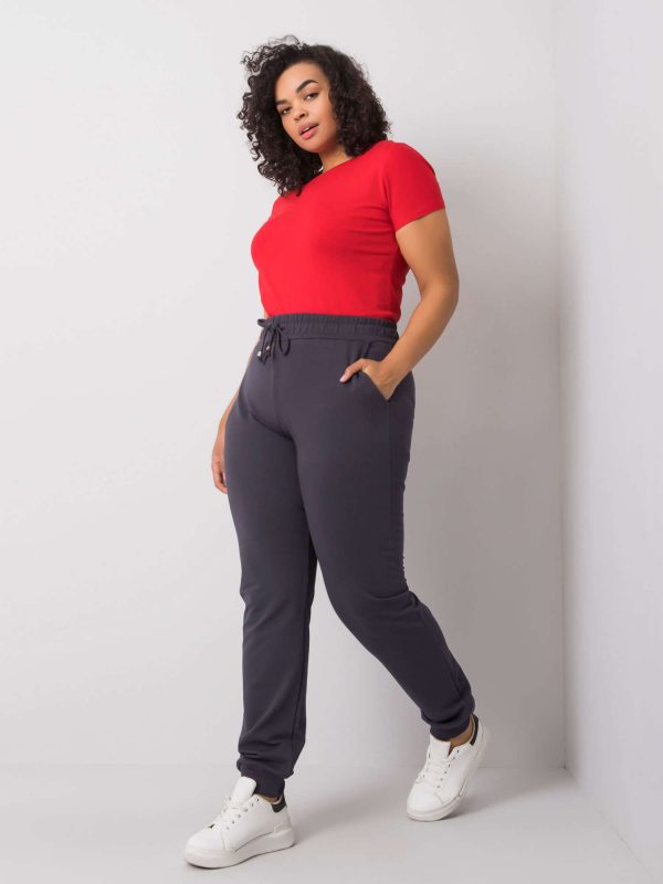 Beatriz Plus Size Graphite Sweatpants