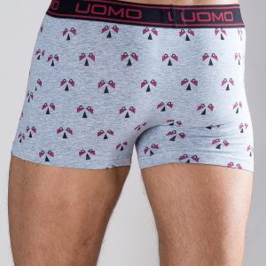 Men's Grey Boxer Shorts with Print