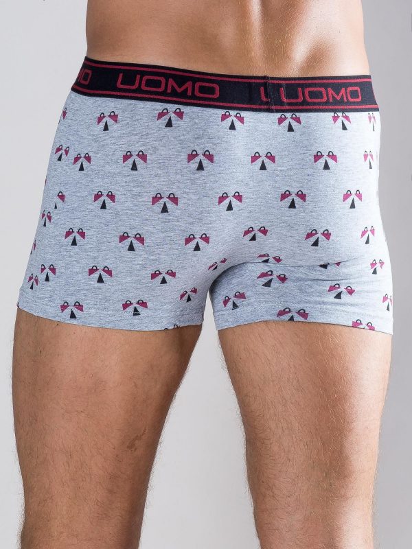 Men's Grey Boxer Shorts with Print