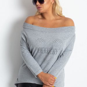 Gray Plus Size Hoodie Association