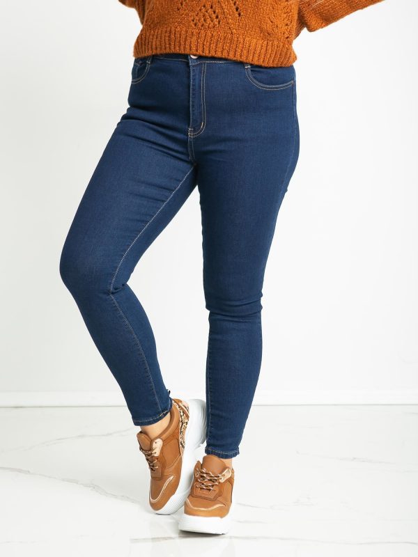 Blue Molly Plus Size Pants