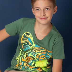 Wholesale Green boy t-shirt with tiger