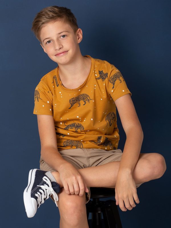 Wholesale Mustard t-shirt for boy in tigers