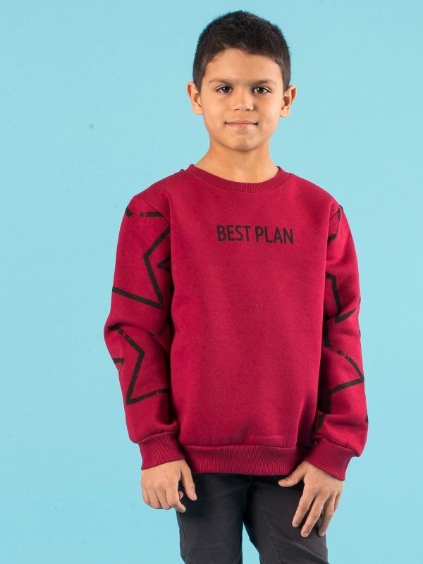 Wholesale Burgundy padded sweatshirt for children with print